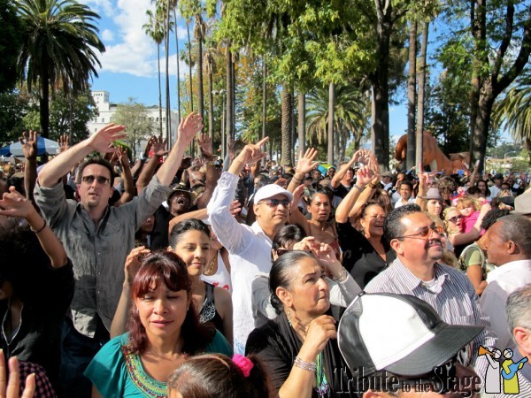 Festival-Cubano-2010-080