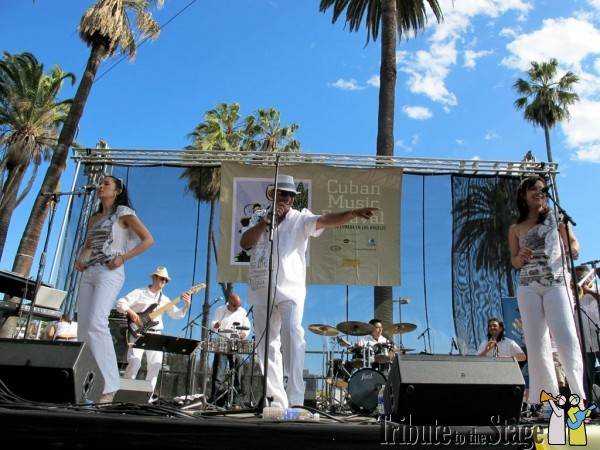 Festival-Cubano-2010-090